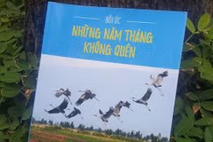 Bìa cuốn sách. (Nguồn: Nhà xuất bản Văn hóa Văn nghệ Thành phố Hồ Chí Minh)