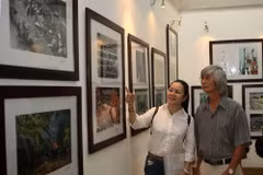 Khách tham quan triển lãm trong ngày khai mạc. (Ảnh: Thanh Tùng/TTXVN)