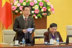 Phó Chủ tịch Quốc hội Phùng Quốc Hiển phát biểu ý kiến. (Ảnh: An Đăng/TTXVN)