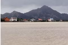 Nhiều diện lúa vụ Đông Xuân sớm ở huyện Thuận Nam bị ngập sâu trong nước. (Ảnh: Công Thử/TTXVN)