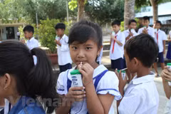 Ảnh minh họa. (Ảnh: Vietnam+)