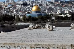 Cả Israel và Palestine đều tuyên bố Jerusalem là thủ đô. (Nguồn: AFP)