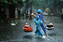 Ảnh minh họa. (Nguồn: Internet)