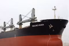 Tàu Vinalines Queen vẫn bặt vô âm tín. (Nguồn: Interrnet)