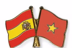 Ảnh minh họa. (Nguồn: crossed-flag-pins.com)