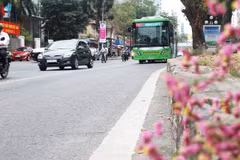 Tuyến buýt nhanh BRT01 có lộ trình Yên Nghĩa-Kim Mã ngày càng tăng về sản lượng hành khách. (Ảnh: Thi Uyên/Vietnam+)