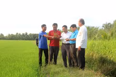 Truyền cảm hứng làm giàu cho những người nông dân Khmer ở Trà Vinh
