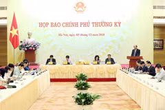 Bộ trưởng, Chủ nhiệm Văn phòng Chính phủ, Người phát ngôn của Chính phủ Mai Tiến Dũng trả lời câu hỏi của phóng viên các cơ quan báo chí. (Ảnh: Dương Giang/TTXVN)