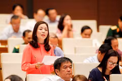  Đại biểu Quốc hội tỉnh Bắc Kạn Triệu Thị Thu Phương phát biểu. (Ảnh: Lâm Khánh/TTXVN) 