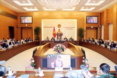 Quang cảnh Phiên khai mạc. (Ảnh: Trọng Đức/TTXVN)