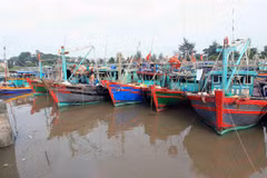 Tàu, thuyền neo đậu tránh bão an toàn. (Ảnh: An Đăng/TTXVN)