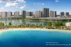 Với quy mô và hạ tầng đồng bộ đang được đầu tư theo mô hình “Singapore và hơn thế nữa”, VinCity hội tụ đầy đủ điều kiện để chuyển đổi thành tiêu chuẩn Vinhomes với 3 dòng sản phẩm là Vinhomes Sapphire, Vinhomes Ruby và Vinhomes Diamond.