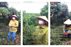 Những người nông dân Bắc Giang đang livestream bán hàng trên sàn Sendo. (Ảnh: Sendo)
