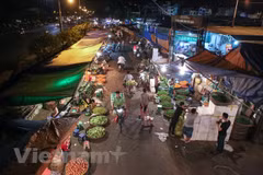 Ảnh minh họa. (Nguồn: Vietnam+)