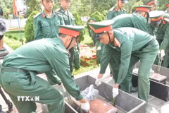 Quy tập hài cốt liệt sỹ hy sinh ở Campuchia. (Nguồn: TTXVN)