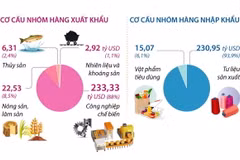 Tám tháng năm 2024: Kim ngạch xuất, nhập khẩu tăng 16,7%
