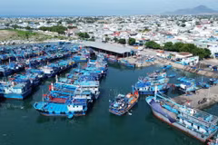 Cảng cá Mỹ Tân, xã Thanh Hải, huyện Ninh Hải, tỉnh Ninh Thuận, được đầu tư đồng bộ đáp ứng yêu cầu phát triển kinh tế biển của địa phương. (Ảnh: Nguyễn Thành/TTXVN)