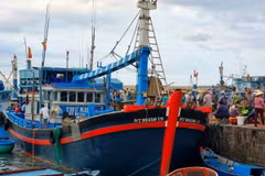 Tàu khai thác xa bờ cập cảng cá Mỹ Tân, xã Thanh Hải, huyện Ninh Hải, tỉnh Ninh Thuận, bốc dỡ hải sản. (Ảnh: Nguyễn Thành/TTXVN)