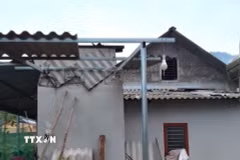 Ảnh minh họa. (Nguồn: TTXVN)