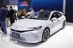 (Ảnh minh họa: TTXVN)