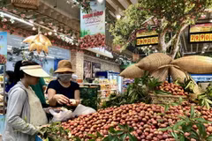 Sản phẩm mận hậu Sơn La được giới thiệu tại hội chợ. (Ảnh: Mỹ Phương/TTXVN)