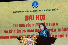Phó chủ tịch nước Đặng Thị Ngọc Thịnh phát biểu tại buổi lễ. (Ảnh: Trần Việt/TTXVN)