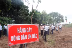 Hàng cây Nông dân ơn Bác được trồng tại Khu di tích lịch sử Lăng Kinh Dương Vương. (Ảnh: Hùng Võ/Vietnam+)