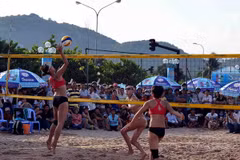 (Ảnh: Thanh Hà/TTXVN)
