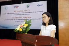 Thực trạng lao động già hóa và kém kỹ năng đang là rào cản trong phát triển kinh tế khu vực đồng bằng sông Cửu Long. (Ảnh: PV/Vietnam+)