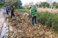 Thu dọn, cắt tỉa cây xanh trên đường Kim Giang, quận Thanh Xuân. (Ảnh: Tuấn Anh/ TTXVN)