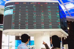 Nhà đầu tư theo dõi diễn biến thị trường chứng khoán tại Sở Giao dịch Chứng khoán Thành phố Hồ Chí Minh (HOSE). (Ảnh: Hứa Chung/TTXVN)