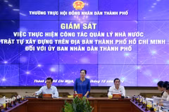 Chủ tịch Hội đồng Nhân dân Thành phố Hồ Chí Minh Nguyễn Thị Lệ chủ trì buổi giám sát. (Ảnh: Tiến Lực/TTXVN)
