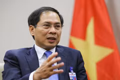Bộ trưởng Ngoại giao Bùi Thanh Sơn. (Ảnh: TTXVN phát)