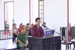 Bị cáo Hải tại phiên tòa. (Ảnh: Đậu Tất Thành/TTXVN)