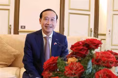 Đại sứ Việt Nam tại Vương quốc Bỉ, Trưởng Phái đoàn Việt Nam bên cạnh EU Nguyễn Văn Thảo trả lời phỏng vấn phóng viên TTXVN. (Ảnh: Hương Giang/TTXVN)