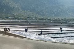 Sản xuất muối và phát triển công nghiệp sau muối ở khu vực phía Nam của tỉnh đang được tỉnh Ninh Thuận tập trung thu hút đầu tư. (Ảnh: Công Thử/TTXVN)