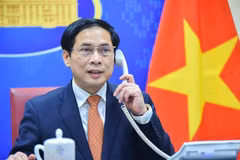Bộ trưởng Bộ Ngoại giao Bùi Thanh Sơn. (Ảnh: TTXVN phát)