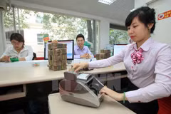 Ảnh minh họa. (Nguồn: TTXVN)