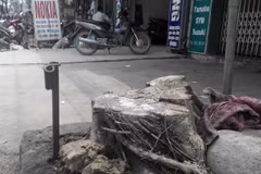 (Ảnh: Mạnh Khánh/Vietnam+)