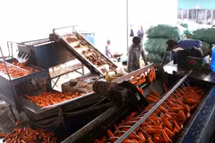 (Ảnh: Vũ Sinh/Vietnam+)