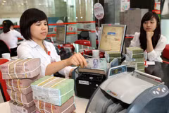 "VAMC hoạt động không phải vì mục tiêu lợi nhuận" 