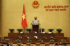 (Ảnh: Văn Điệp/TTXVN)