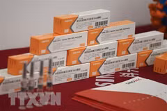 Vắcxin ngừa COVID-19 của Sinovac. (Ảnh: AFP/TTXVN)