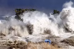 Ảnh minh họa. (Nguồn: newscientist.com)