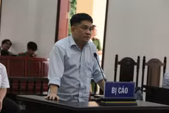 Bị cáo Nguyễn Tiến Lãm tại tòa. (Ảnh: Sỹ Tuyên/TTXVN)