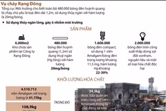 Vụ cháy Rạng Đông: 480.000 bóng đèn huỳnh quang có sử dụng thủy ngân.