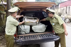 Cán bộ Đội Quản lý thị trường số 9 tiến hành bàn giao cho các đơn vị chức năng để tiêu hủy. (Ảnh: Thái Thuần/TTXVN)