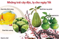 Những trái cây độc, lạ cho ngày Tết Nguyên đán.