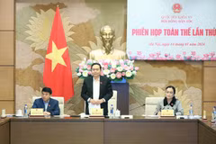 Phó Chủ tịch Thường trực Quốc hội Trần Thanh Mẫn phát biểu chỉ đạo. (Ảnh: Minh Đức/TTXVN)
