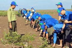 Gắn kết chặt chẽ các Bộ, ngành trong ứng phó với biến đổi khí hậu